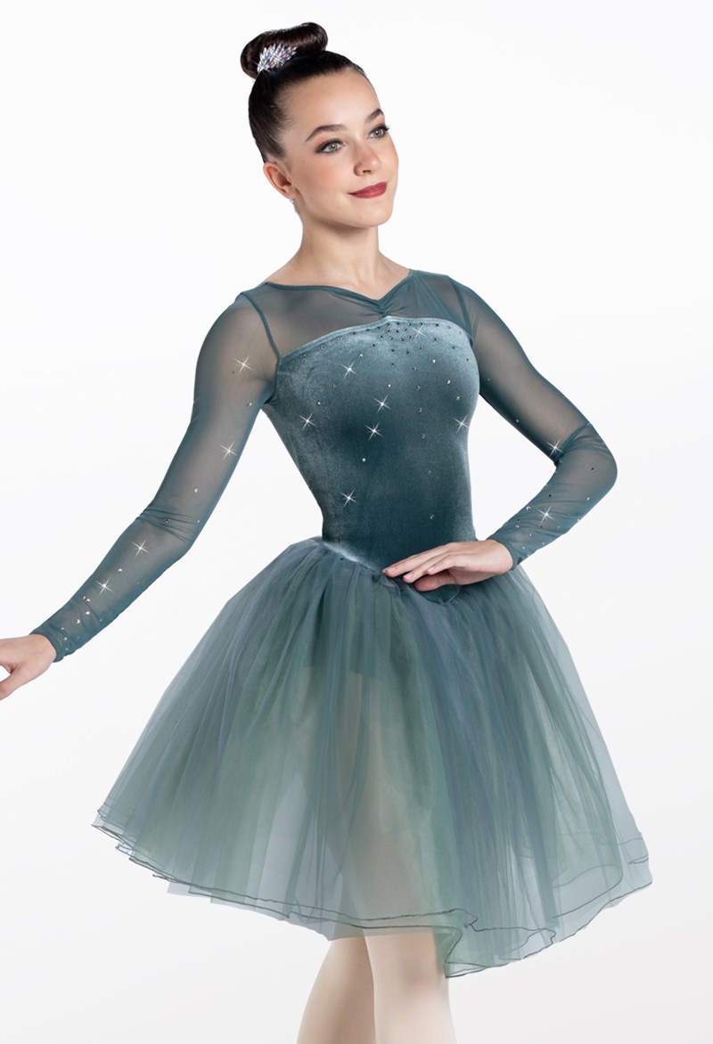 Crystal Velvet Degas Tutu Dance Dress | Weissman®