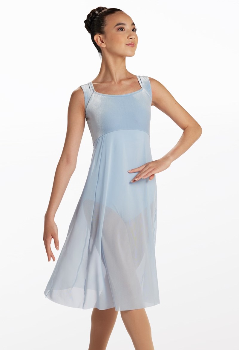 Velvet And Mesh Ballet Dress Costume | Weissman®