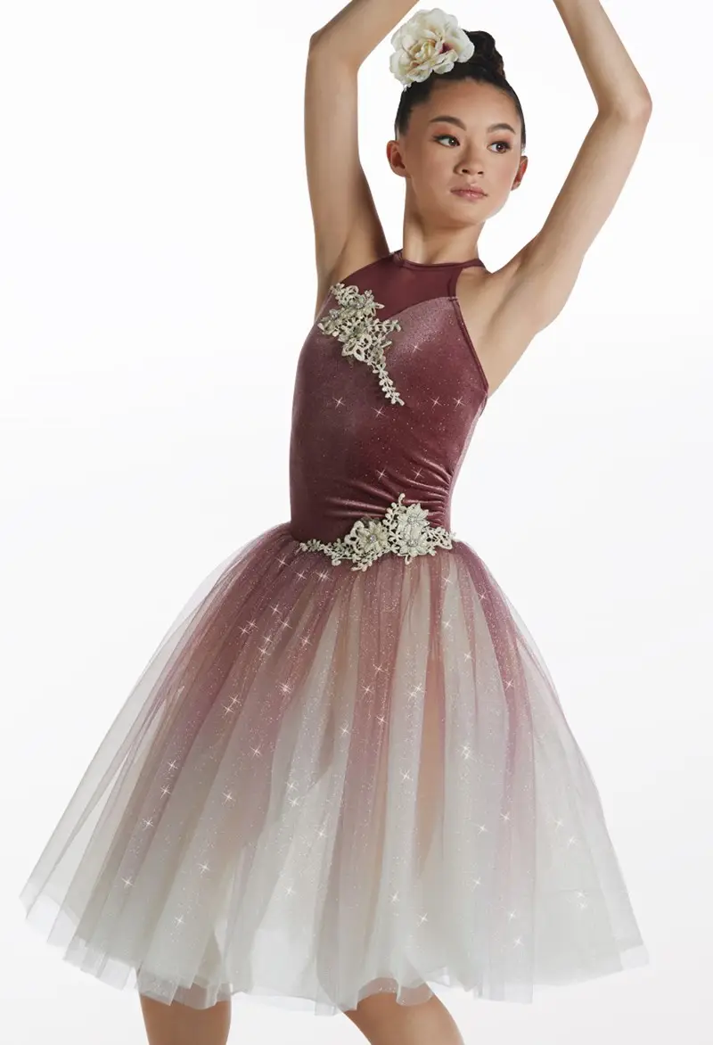Ombre Romantic Tutu Dress Costume | Weissman