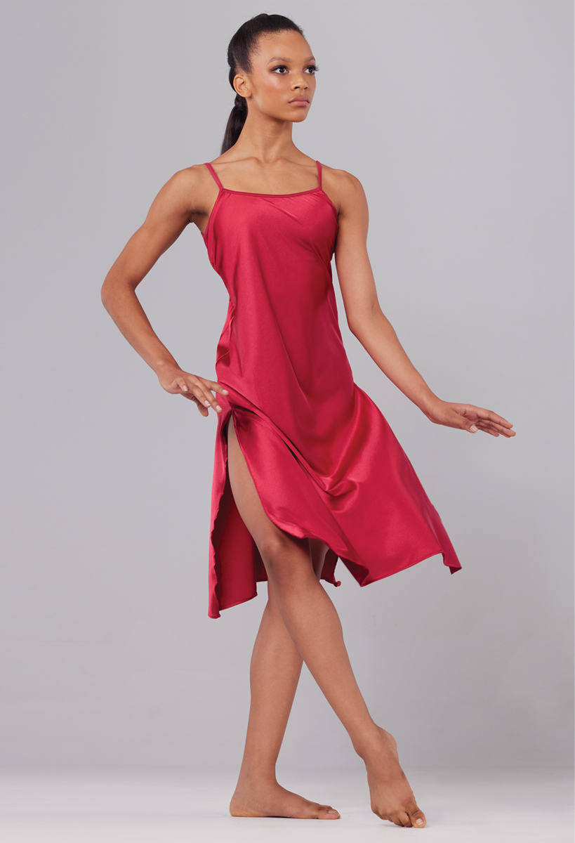 sheer purple dress AvA Women's Sophia Mini Sheer Dress in Purple Poppies  AlavonAuersperg.com