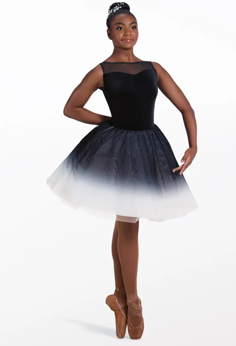 Velvet Ombre Mesh Tutu Dance Costume